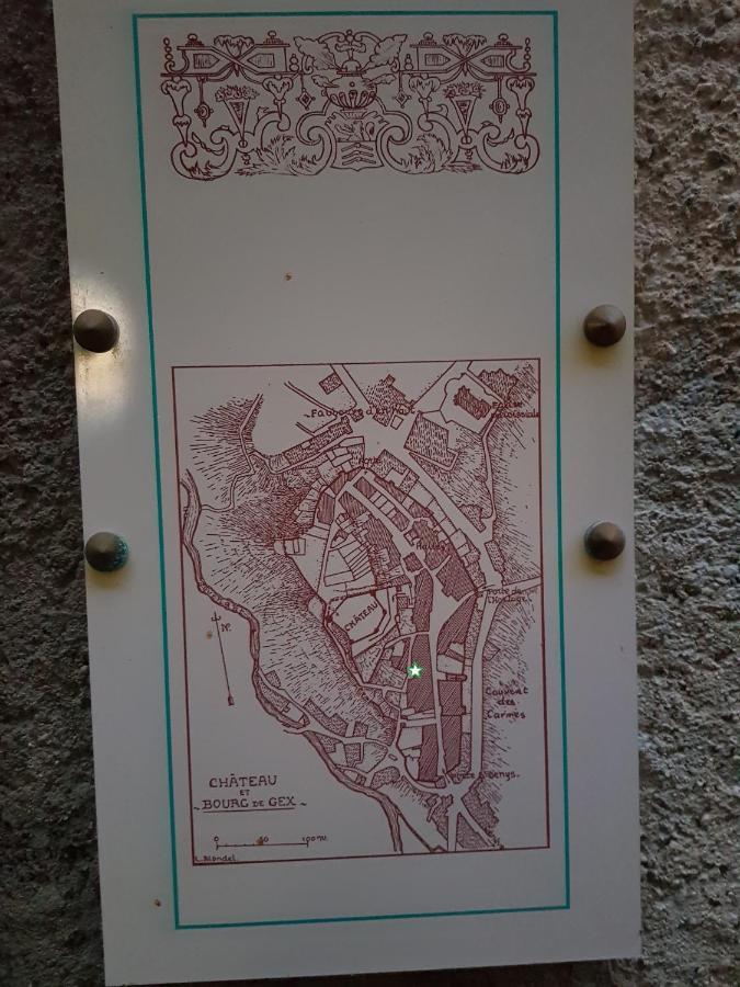 Hebergeneve : Aux Pieds Du Chateau Gex Zewnętrze zdjęcie